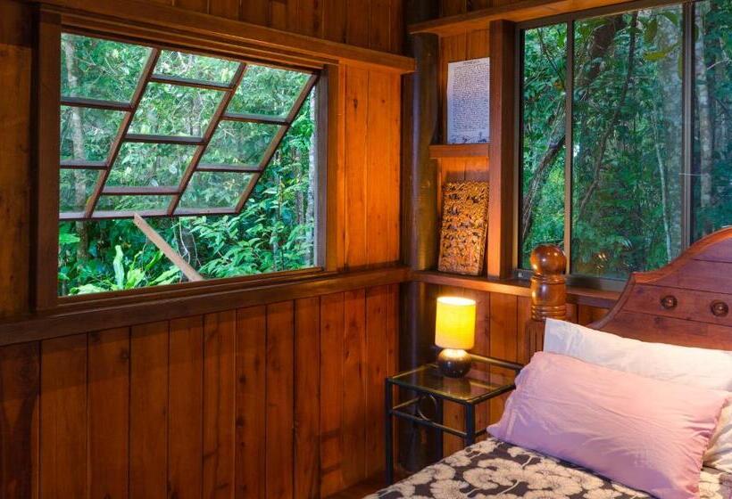 Хижина, Epiphyte B & B