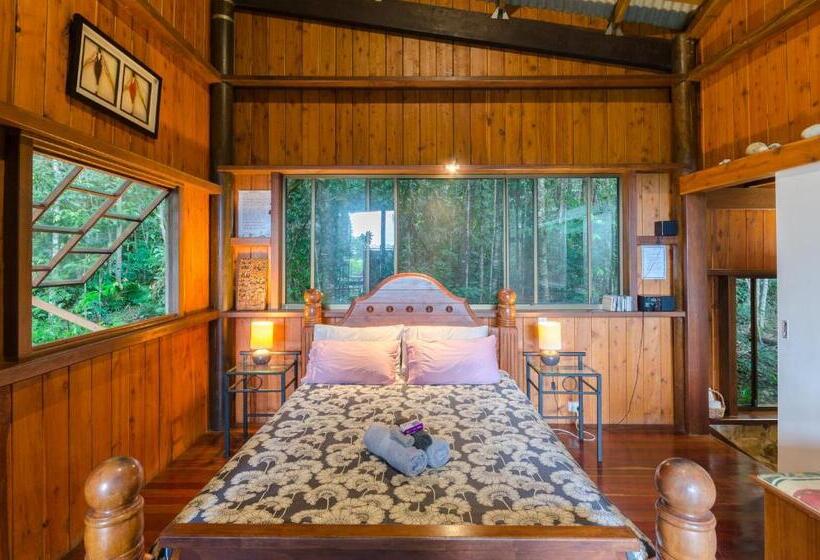 오두막, Epiphyte B & B