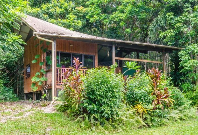 Хижина, Epiphyte B & B