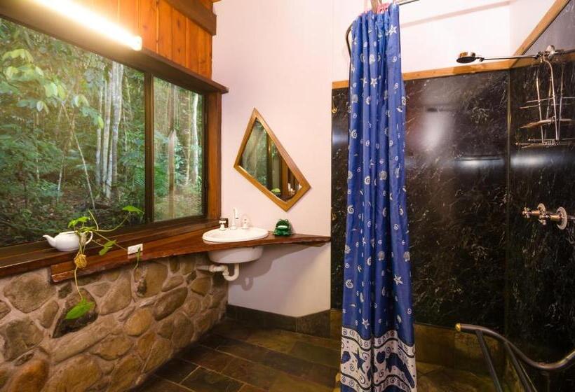 Хижина, Epiphyte B & B