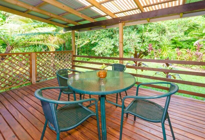 Номер Стандарт с Балконом, Epiphyte B & B