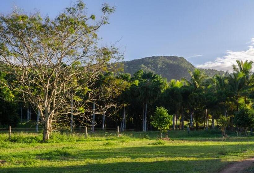 Хижина, Epiphyte B & B