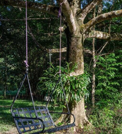 Хижина, Epiphyte B & B