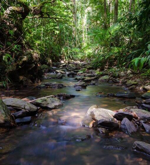 Хижина, Epiphyte B & B