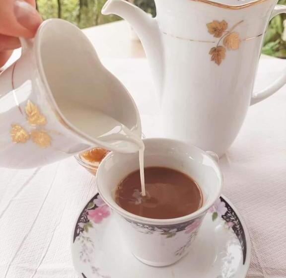 기본룸, Guest House Baba Lluka