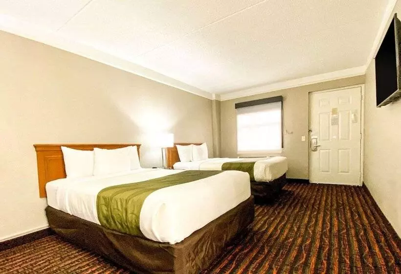 Standard-huone 2 Parivuodetta, Quality Inn Harlingen