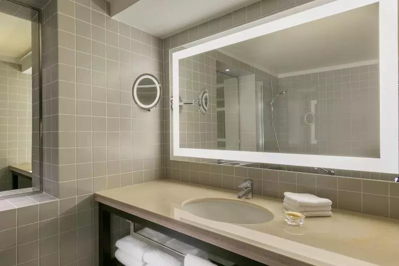 اتاق کلاسیک با چشمانداز شهر, Sheraton Bucharest