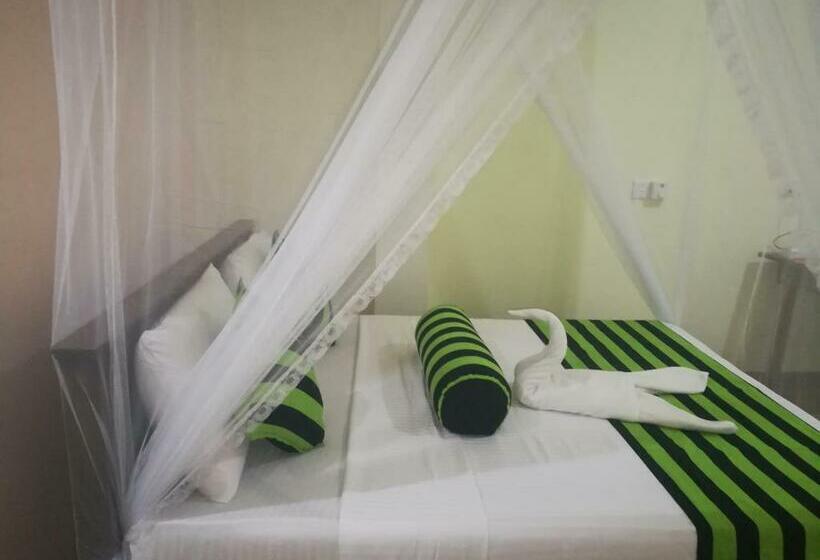 Quarto Estandar, Dinaro Guest