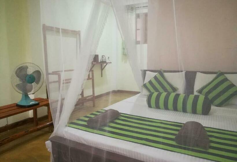 Standart Oda, Dinaro Guest