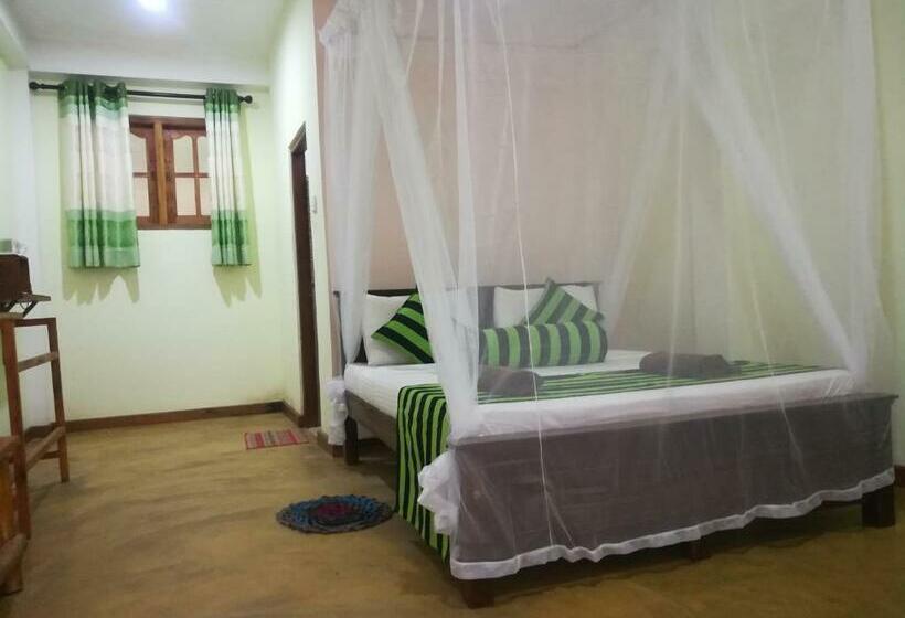 Standart Oda, Dinaro Guest