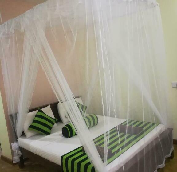 Standart Oda, Dinaro Guest