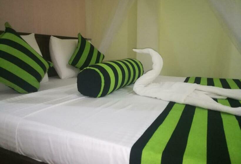 Quarto Estandar, Dinaro Guest