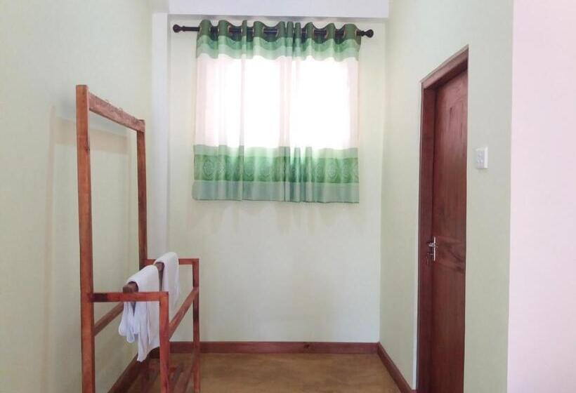 Quarto Estandar, Dinaro Guest