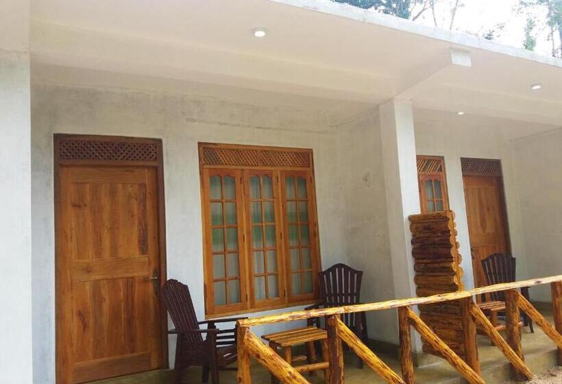 Standart Oda, Dinaro Guest