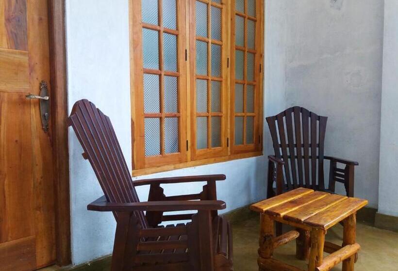 Standart Oda, Dinaro Guest