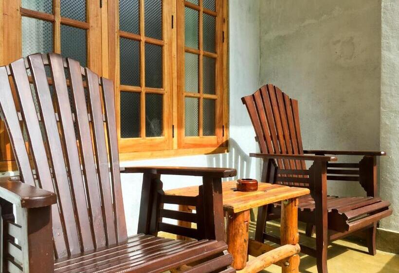 Standart Oda, Dinaro Guest