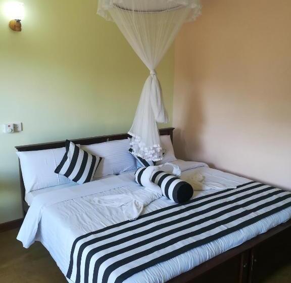 Delüks Oda, Dinaro Guest