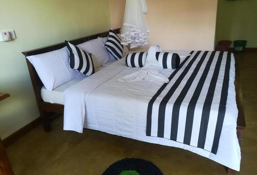 Quarto Deluxe, Dinaro Guest