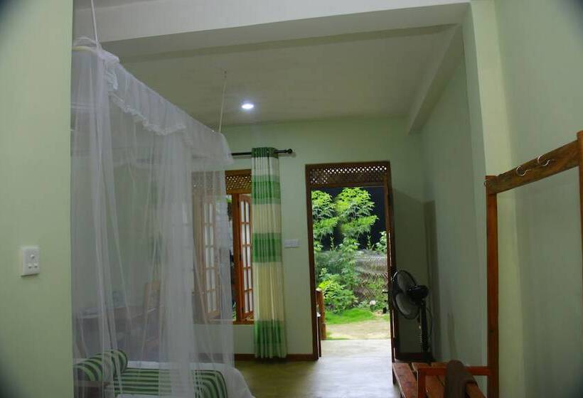 Standart Oda, Dinaro Guest