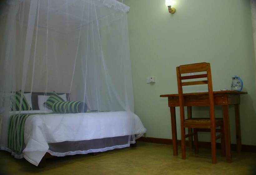 Standart Oda, Dinaro Guest