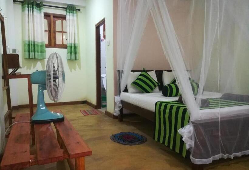 Standart Oda, Dinaro Guest