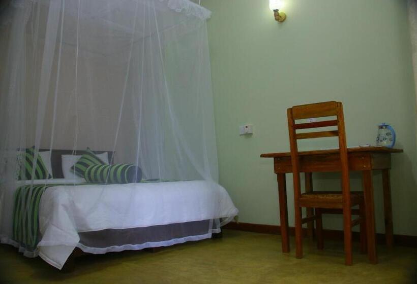 Standart Oda, Dinaro Guest