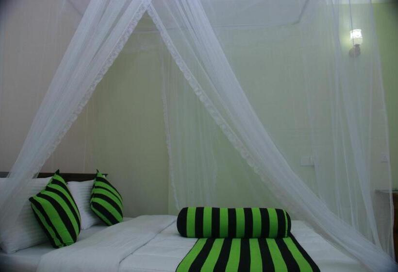 Standart Oda, Dinaro Guest