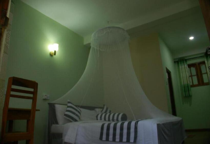 Standart Oda, Dinaro Guest