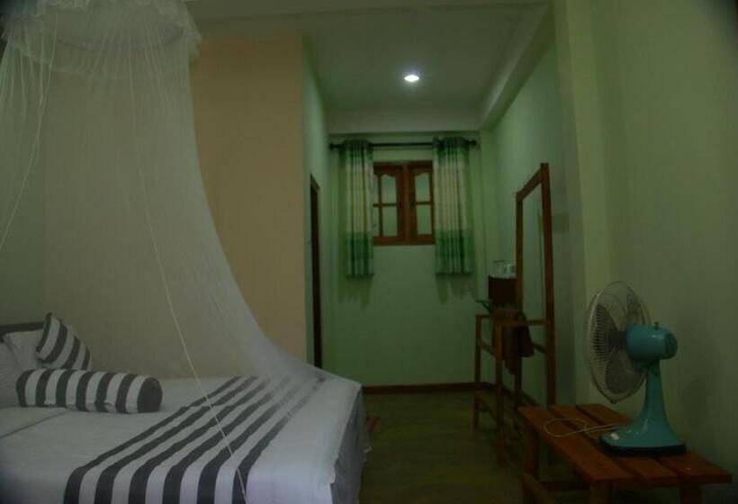 Standart Oda, Dinaro Guest