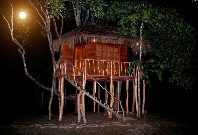 Дом 1 Спальня, La Pentera