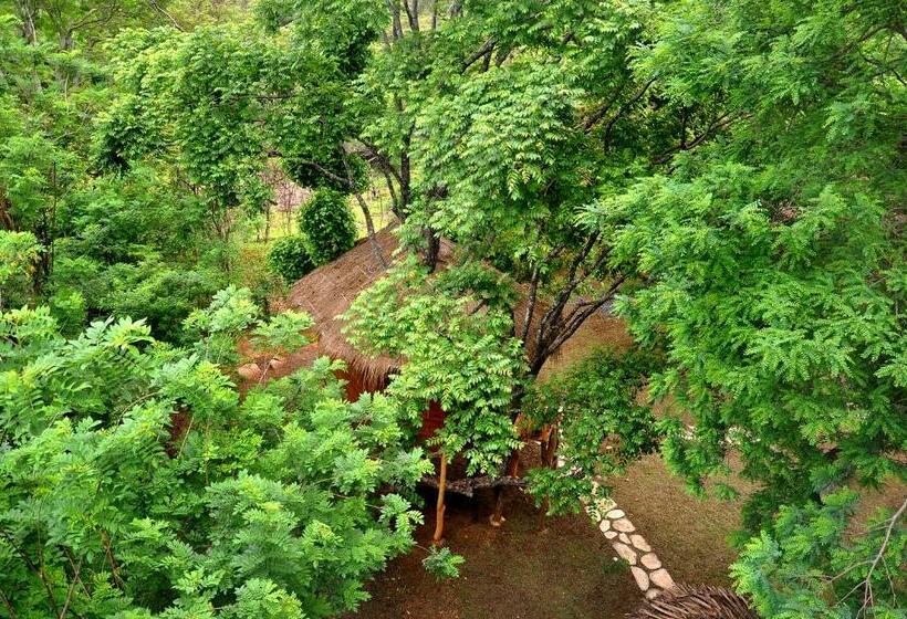 Дом 1 Спальня, La Pentera