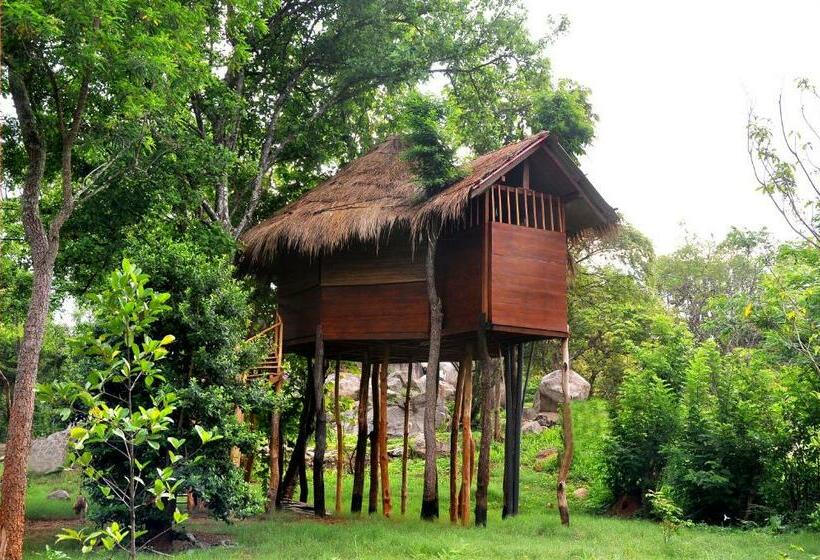 Дом 1 Спальня, La Pentera