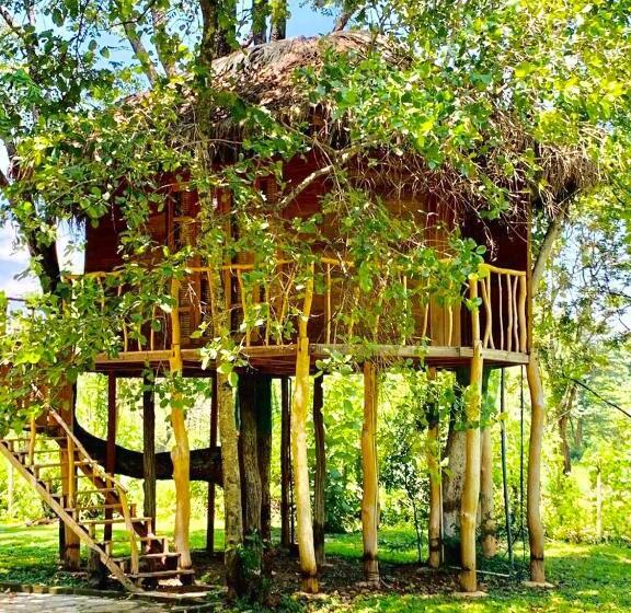 Дом 1 Спальня, La Pentera