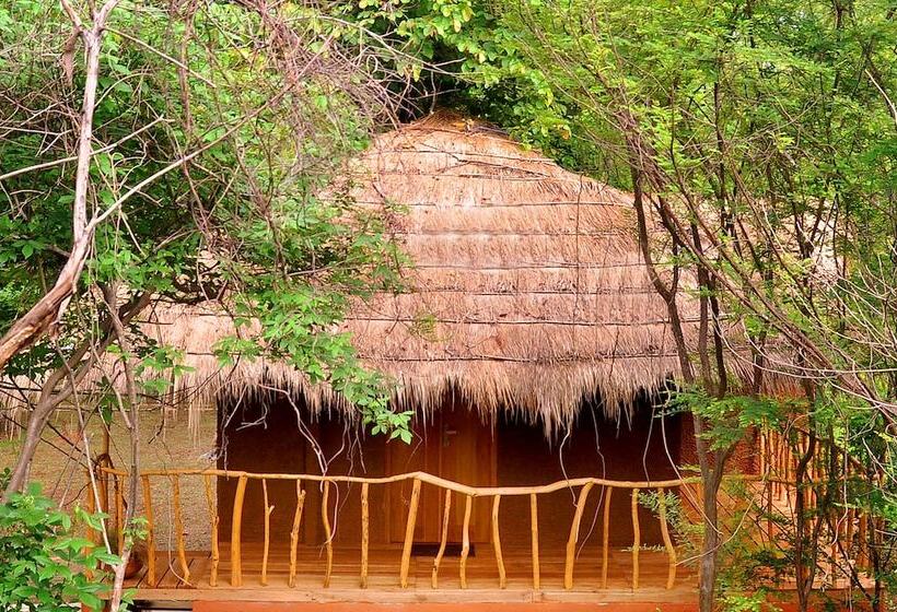 Дом 1 Спальня, La Pentera