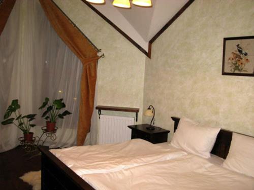 סוויטת 2 חדרי שינה, Gnizdo Golubky