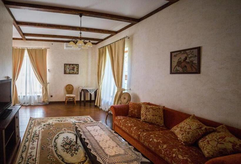 חדר סטנדרט, Gnizdo Golubky