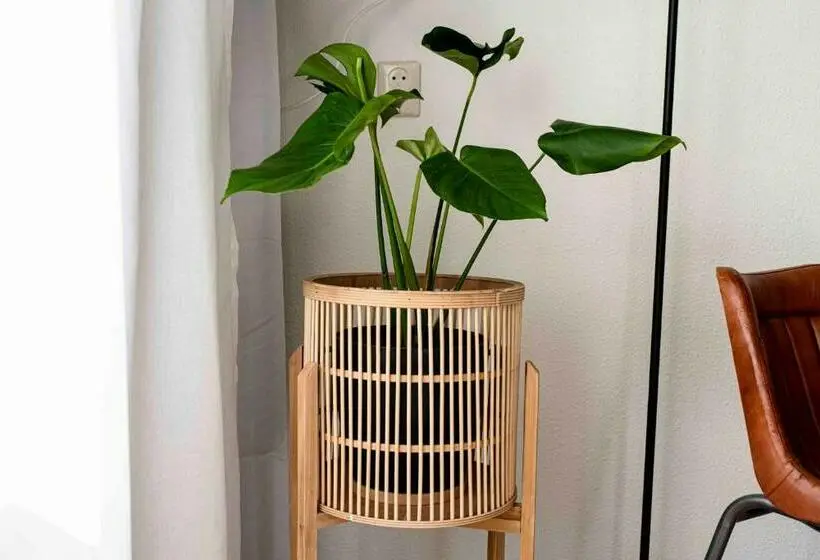 スタンダードルーム, Hofstede Villetta
