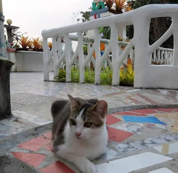 اتاق خانوادگی, Banthorphan Resort