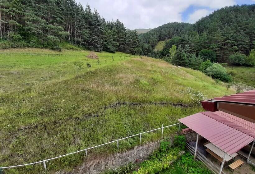 이코노미 룸, Lermont Guest House