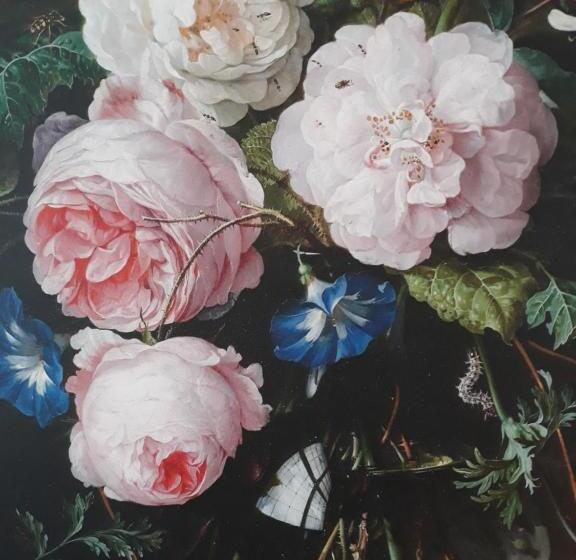 דירת חדר בקומת קרקע, B&b Appartementen Engelenhof