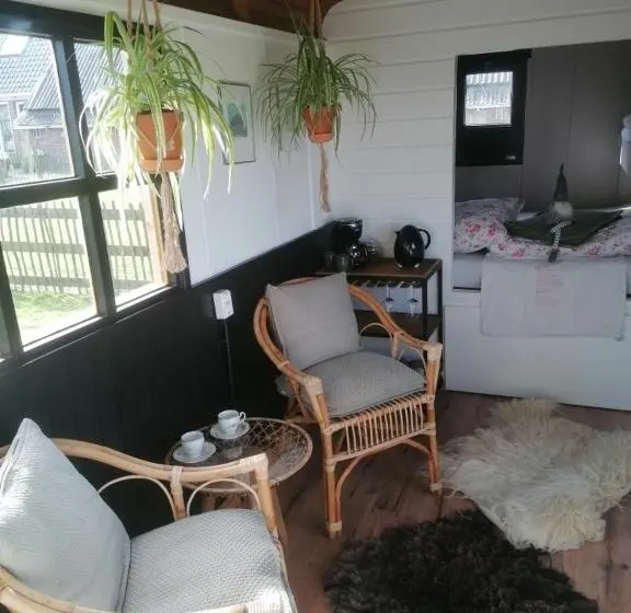 スタンダードルーム, Logement Doosje