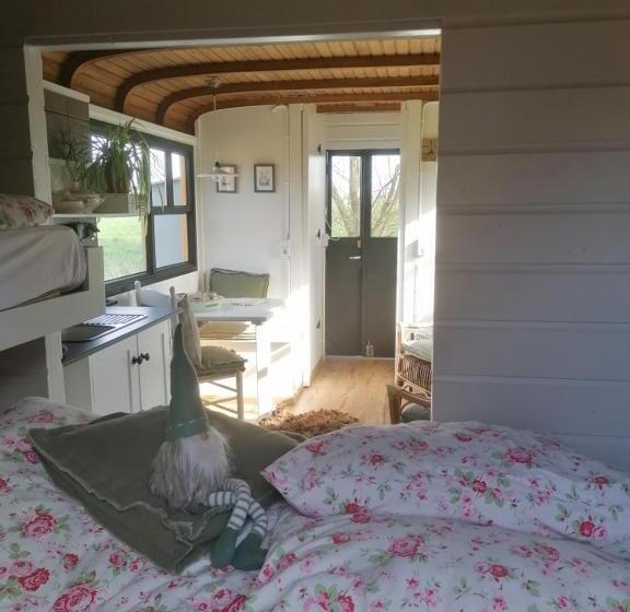 חדר סטנדרט, Logement Doosje