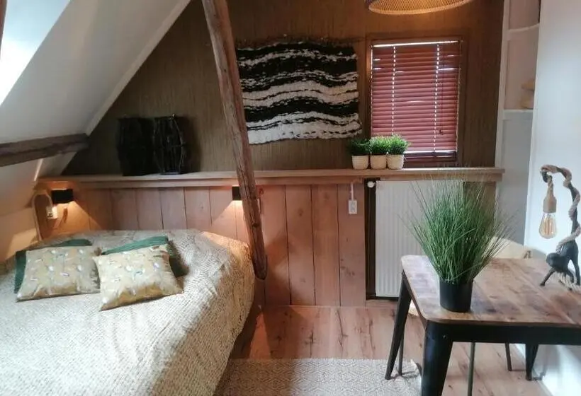 デラックスルーム, Logement Doosje