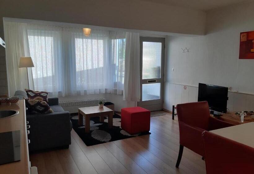 Апартаменты 1 Спальня, Vakantie Appartementen Engelen