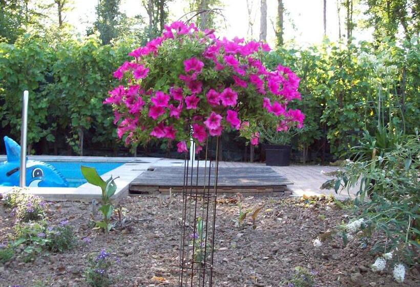 חדר סטודיו סטנדרד, Vakantie Appartementen Engelen