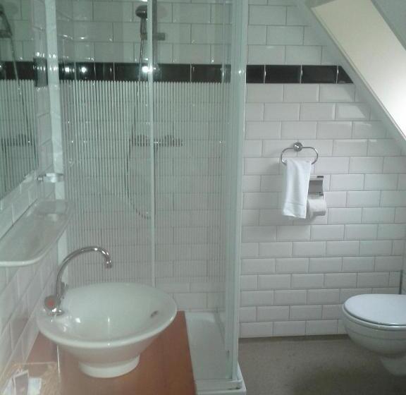 标准单人间, De Gouden Karper