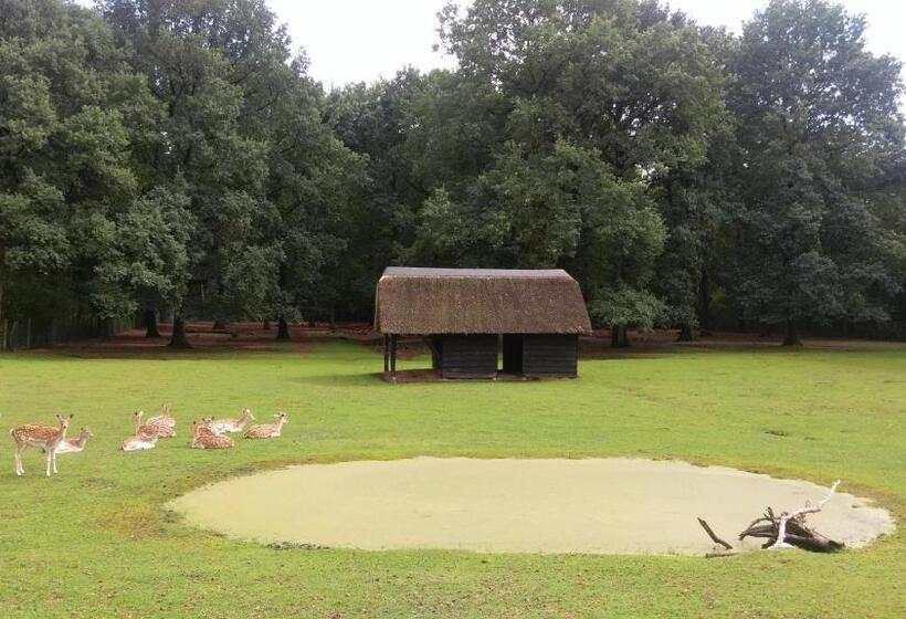 Трехместный Номер Стандарт Вид на Сад, De Spaarbankhoeve