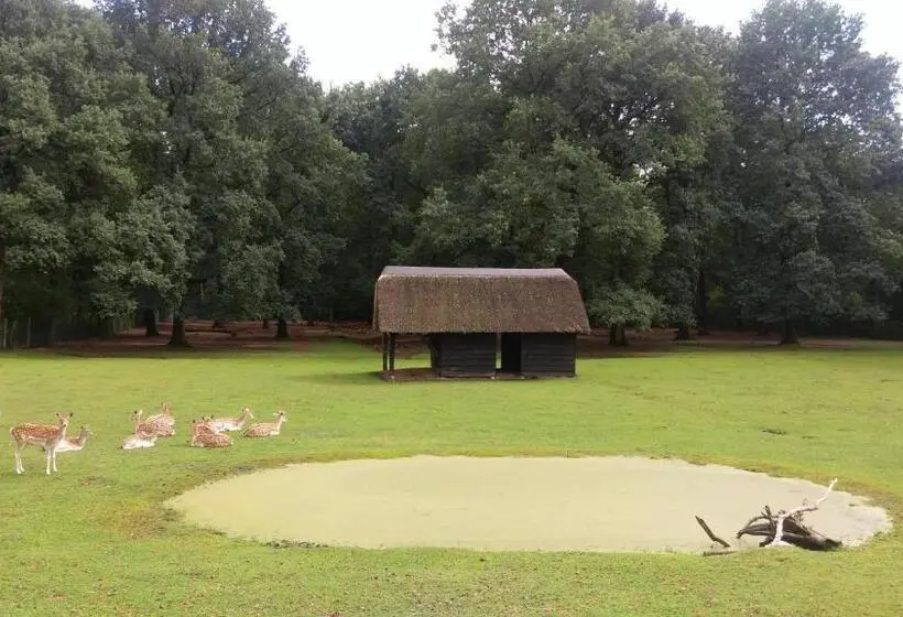 庭の見えるスタンダードトリプルルーム, De Spaarbankhoeve