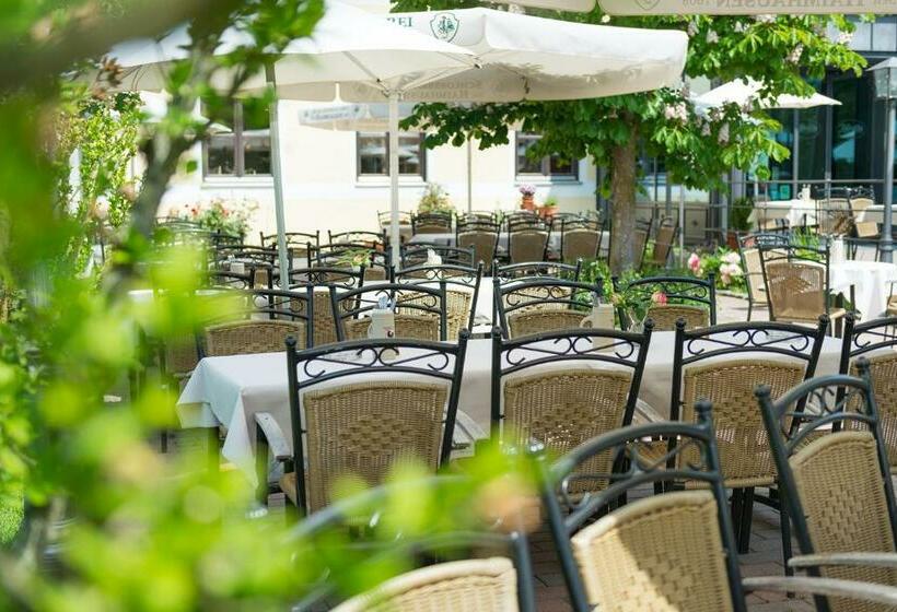 标准单人间, Landgasthof Hofmeier