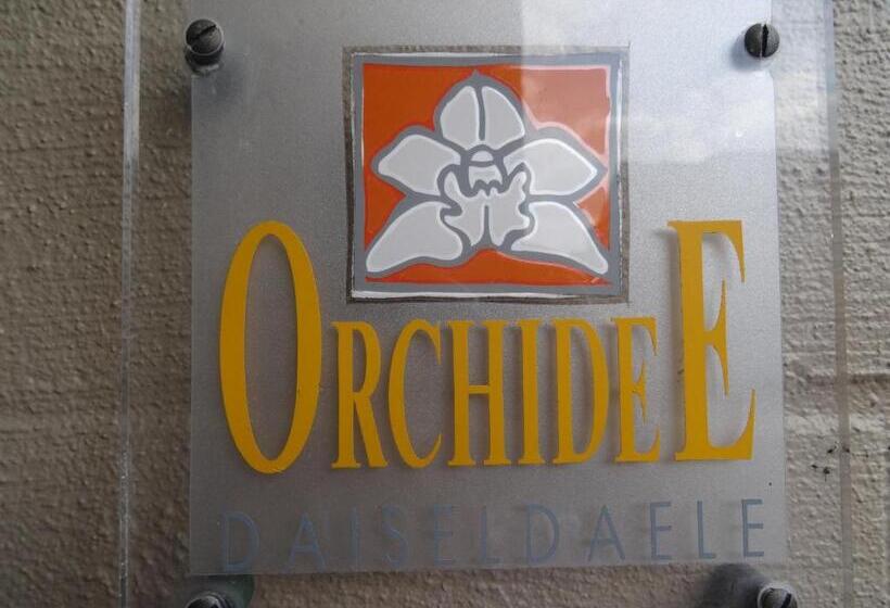 Номер Стандарт, Hostellerie Daiseldaele